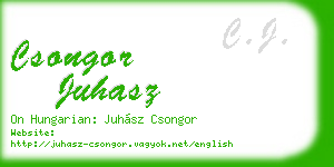 csongor juhasz business card